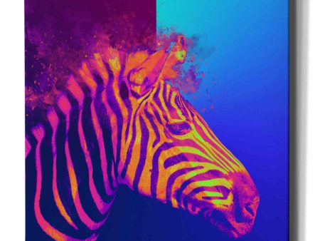 Zebra Crush,  Canvas Wall Art Discount