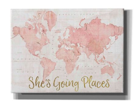 Across the World Shes Going Places Pink  by Sue Schlabach, Canvas Wall Art For Discount