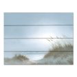 JAN293PAL - Misty Morning Dunes - 16x12 Online Hot Sale