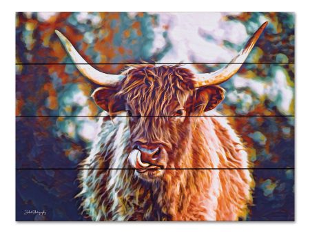 DAK245PAL - Colorful Highland II - 12x16 Online