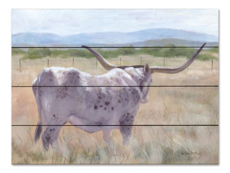 BR608PAL - Hill Country Longhorn - 16x12 Online Hot Sale