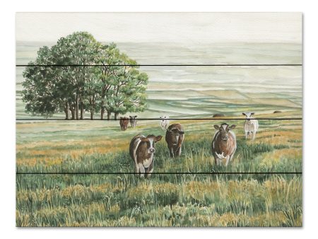 CIN4037PAL - Peaceful Pasture - 16x12 Online