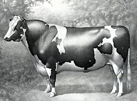 SDS1029 - The Bull - 18x12 Online Sale